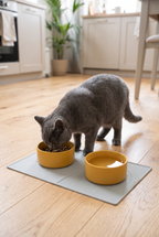 A cat eating on the Slate silicone feeding mat