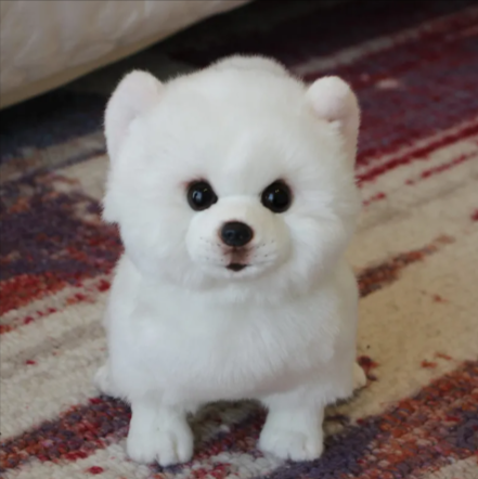 Buddy Plush Dog Toy